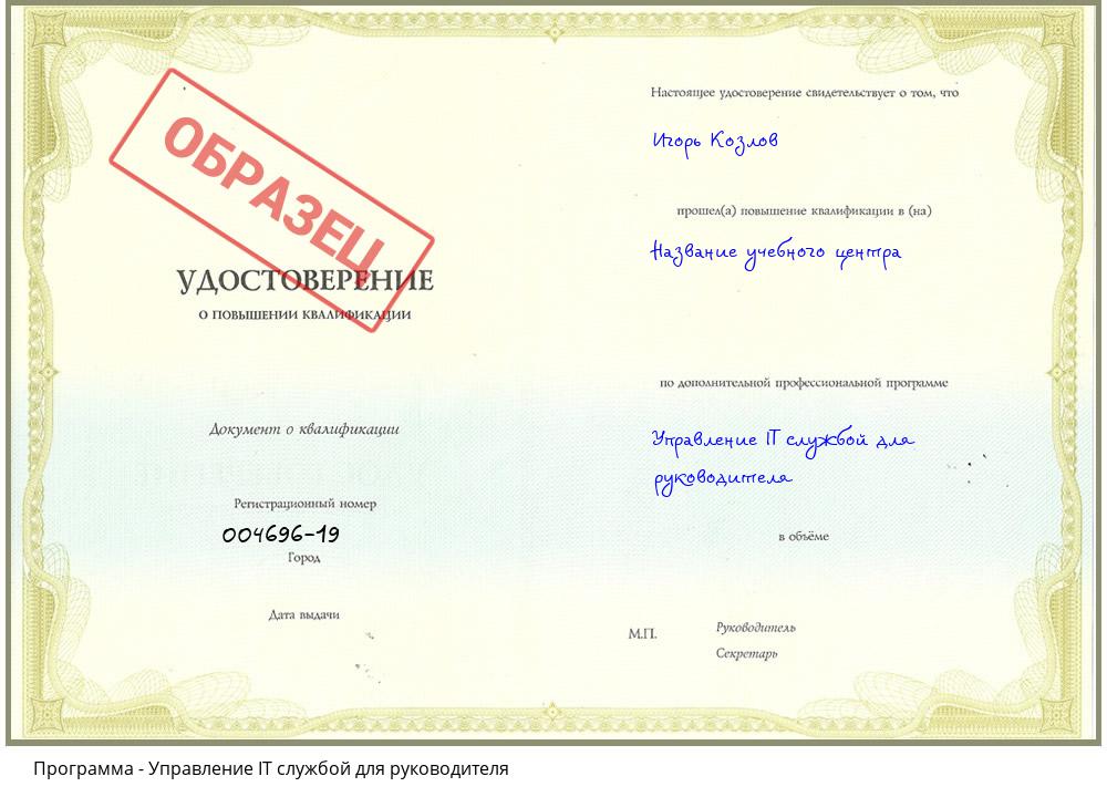 Управление IT службой для руководителя Геленджик