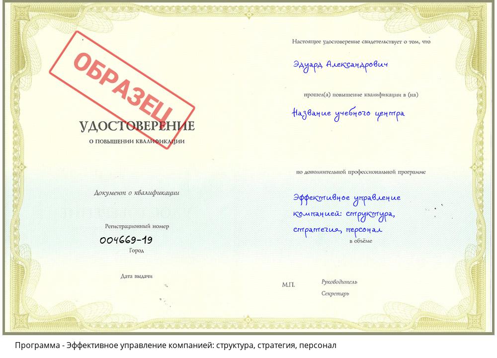 Эффективное управление компанией: структура, стратегия, персонал Геленджик