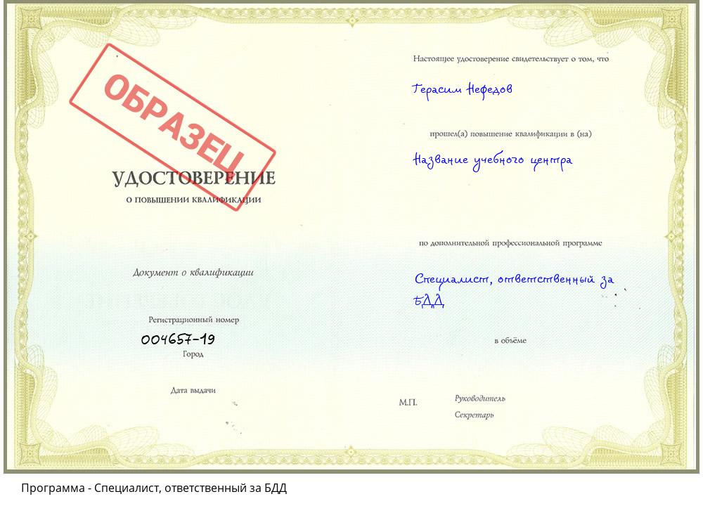 Специалист, ответственный за БДД Геленджик