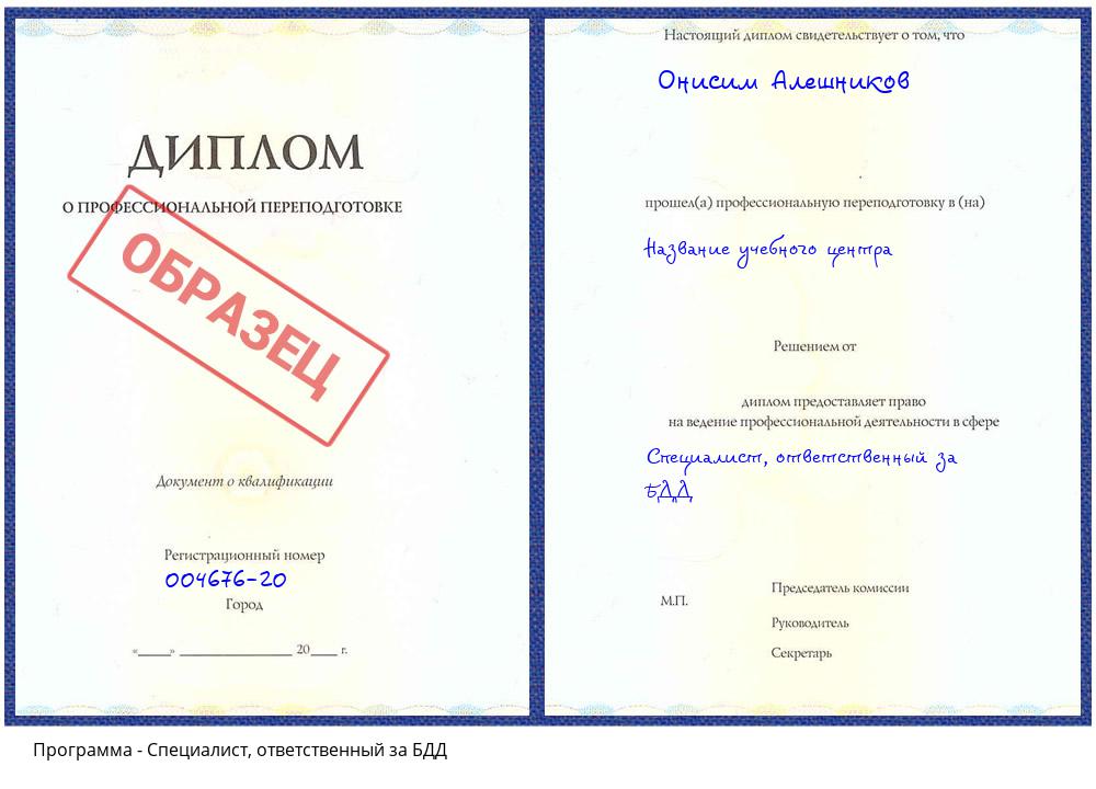 Специалист, ответственный за БДД Геленджик