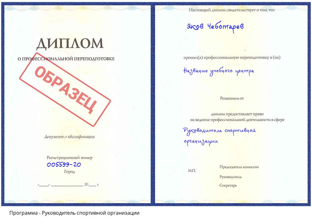 Руководитель спортивной организации Геленджик