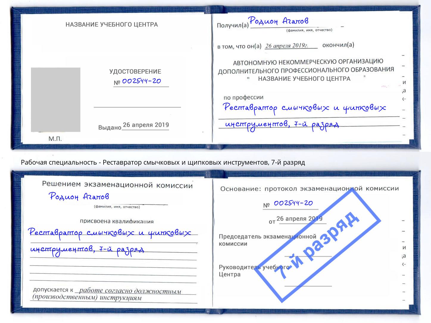 корочка 7-й разряд Реставратор смычковых и щипковых инструментов Геленджик