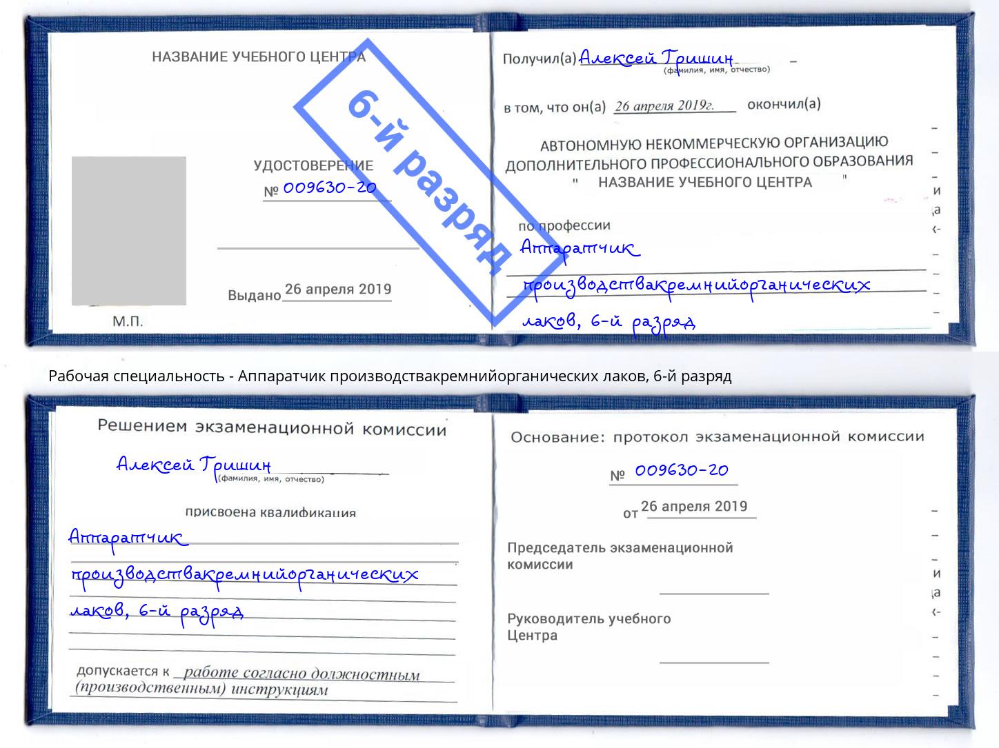 корочка 6-й разряд Аппаратчик производствакремнийорганических лаков Геленджик